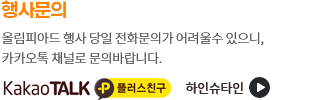 카카오톡 플러스친구 2022 하인슈타인